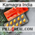 Kamagra India new01